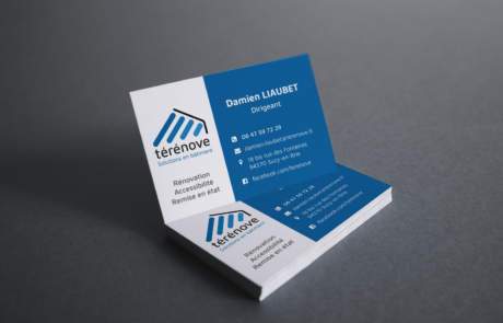 CARTEDE-VIVITE-TERENOVE-graphiste-94-stephanie-sec
