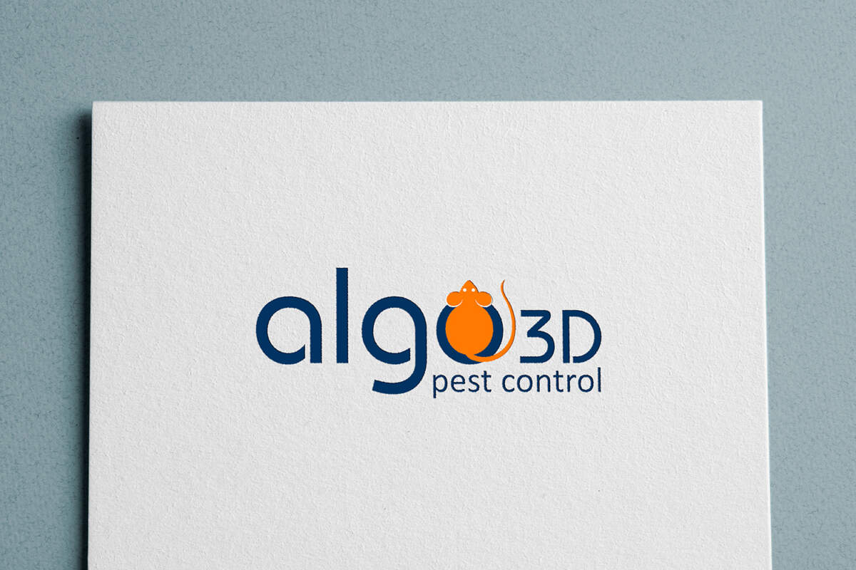 Logo Algo 3D